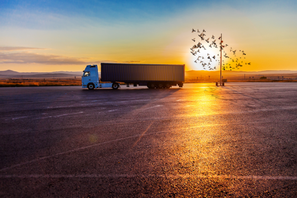 Lorry